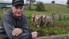 Farmer’s Mates Nickname Him ‘Tim The Hairdresser’ After His Wife Wins Council Election
