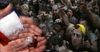 Ice-Ravaged Town Of Wellington, NSW, Chosen To Host New Hollywood Zombie Epic