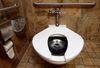 Tourists continue to get their hands wet in American toilets