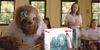 Stoner Sloth Seeks New Ways To Hide Pain Of Parents’ Divorce