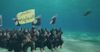 Turnbull Announces $150B Submarine Program To Aid In Fighting ISIS Underwater