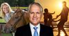 Budget leaks reveal beach houses more affordable under Turnbull government