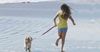 Tourists Kill Dog After Dragging It Into the Ocean For A Selfie
