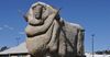 PETA to protest plans to mules Goulburn’s Big Merino