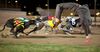 NSW Premier Mike Baird Spotted Backflipping After Bag Of Cash At Dapto Greyhounds