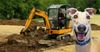 Greyhound owner left wondering what to do with mass grave he dug last week