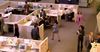 Daily Tele Staff Mill Around Aimlessly After Unexpected Dip In Western Sydney Drive-Bys