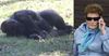 Harambe dies a second death as millennial’s mother begins referencing him
