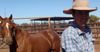 Head Stockman Reveals Love Of Hitting Dough-Banging Jackaroos With The Jigger