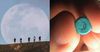 Report: Taking Photos Of Supermoon Not As Fun As Eating One