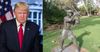 Cootamundra Not Happy With President Trump For Hijacking ‘The Don’ Nickname
