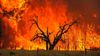 Record-Breaking Heatwave Nothing More Than Leftist Propaganda