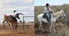 Cocky Ringer Given Rankest Pony On Plant After A Bit Of Chest Beating On Day One