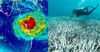 Great Barrier Reef Enjoying The Diversity Of Natural Disasters This Month