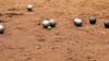 Teaching Remote Murri Kids To Play Weird Sports Key To Closing The Gap, Says ABC News