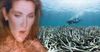 Fragile Barrier Reef Haunted By Celine Dion Music As QLD Government Signs Off On Adani