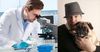CSIRO to fund study into why some people get pugs