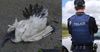 Local man accused of flogging a dead ibis for ‘cheap laughs’