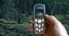 Report: 9 In 10 Encounters With Tasmania Tigers Are Filmed On A Nokia 3200