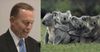 Abbott Says Extinction Of Koalas Could Be Beneficial To Society If Anything