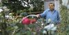 Ange Resigns To Focus On His Figs After Melbourne’s Water Restrictions Are Repealed