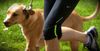 Local Dog Clearly Not Enjoying Run As Much As The Owner Is