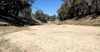 Deputy PM Under Siege After Revelations That He Also Rooted The Murray Darling