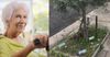 Local Yiayia Dispatches Plastic Bottles Full Of Water To Defend Her Olive Trees From Dog Piss