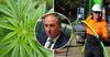Could Legalising Cannabis And Taxing It Fix The NBN? Barnaby Joyce Says ‘Whatever’