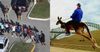 “Do You Ride Kangaroos To School?” Asks American Who Somehow Never Got Shot In School