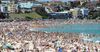 8000 English Backpackers Living In Bondi On Expired Visas Just Glad They Aren’t Cameroonian