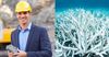 Mining Exec Not Sure Why Government Gave Him Half A Billion To Save The Reef But Cool!