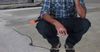 Tiling Sub-Contractor Opts To Squat After Politely Declining Spare Milk Crate At Smoko