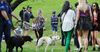 Police Roll Out Fun Detection Dogs In Effort To Prove They Aren’t Too Good At Catching Dealers