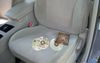CDs Sitting On Passenger Seat A Decent Indicator Your Friend Is Struggling A Bit With Adulthood
