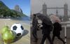 Football Not Exactly Excited About Coming Home
