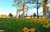 Autumn Set To Begin 6 Weeks Early In Britain