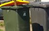 Investigation Launched Into Who Sparked The Chain Reaction Of Yellow Bins On An Off Week