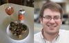 Smoked Oyster And Pizza Shape Appetisers Add Pizzaz To Man’s Otherwise Painful Existence