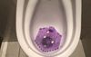 CSIRO Find Link Between Quality Of MDMA Being Sold In Nightclub And Amount Of Chewy In Urinal
