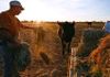 Urgent Recall Ordered On Drought Relief After Struggling Farmer Finds Needle In A Haystack