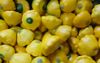 6-Month-Old Pin Discovered In Button Squash After Somebody Actually Buys One