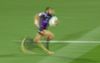 Report: The Fox Is Pretty Quick Aye