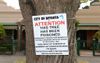 Local Property Developer Conveniently Knows Nothing About Poisoned Tree Near Latest Project