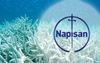 Prime Minister Morrison Proposes Using Great Barrier Reef As Giant Billboard For Napisan