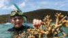Pauline Hanson Tells Great Barrier Reef Its Ok To Be White