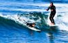 Surf School’s Final Lesson Teaches Students How To Fight A Local After Repeatedly Dropping In On Them