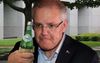 Scomo Treats Self To Hard Earned Long Neck Of Sanpellegrino In Brown Paper Bag At Knock Off