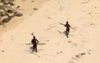 Sentinelese Islanders Reveal The Bloke Was Trying To Hand Out CrossFit Pamphlets