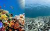 Great Barrier Reef Takes To Social Media To Post Incredible #10YearChallenge Photo